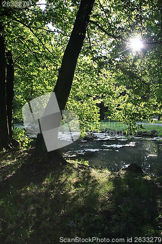 Image of Pond in the park