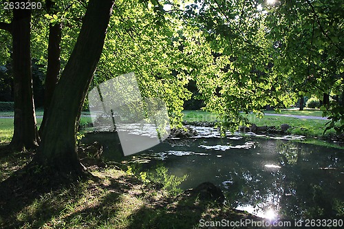 Image of Pond in the park