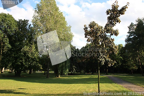 Image of Landscape