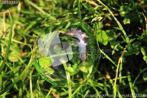 Image of bubble in the green grass