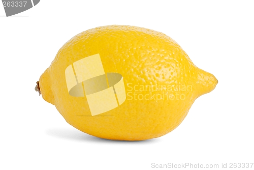 Image of Lemon
