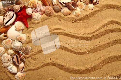 Image of sand and shells as very nice background