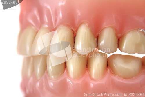 Image of teeth prosthesis background 