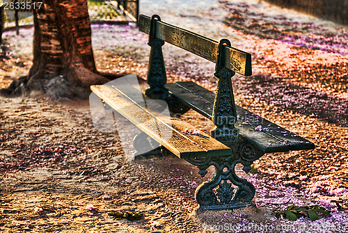 Image of Empty Bench in Spring