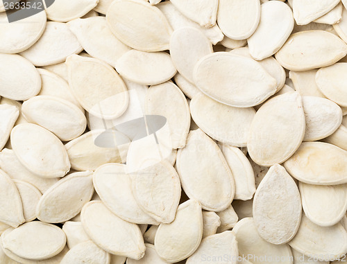 Image of Pumpkin seed