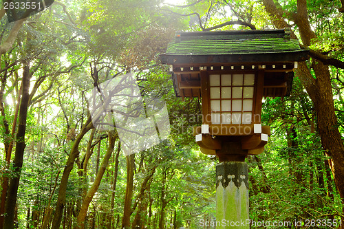 Image of Japanese lantern in park