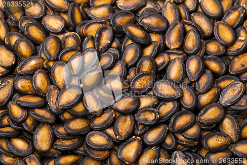 Image of Black melon seed 