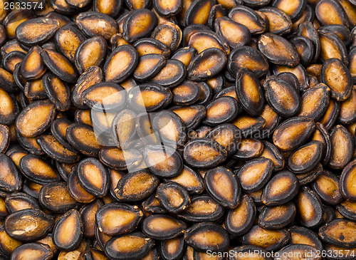 Image of Black watermelon seed