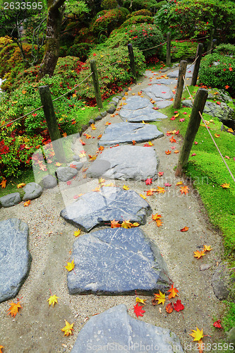 Image of Pebble stone path with maple leaves in Japan garden