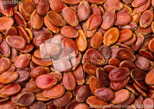 Image of Red watermelon seed 