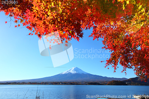 Image of Mt. Fuji in autumn