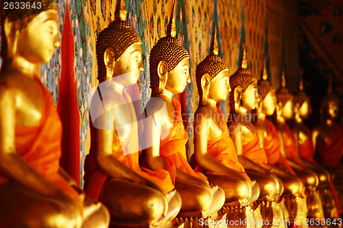 Image of Row of golden buddha statue