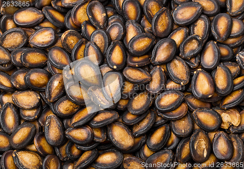 Image of Dried Black Melon Seeds