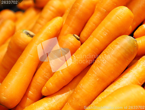 Image of Fresh carrot