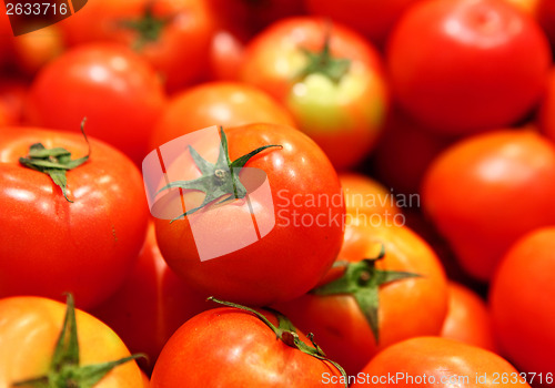Image of Group of tomato