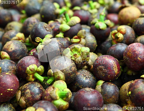 Image of Tropical mangosteen