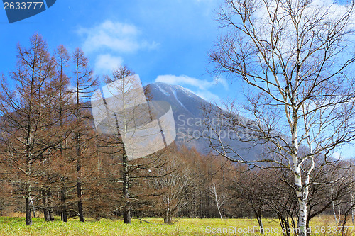 Image of Countryside with mountain and tree
