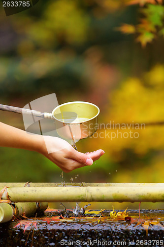 Image of Purification fountain in Japanese temple