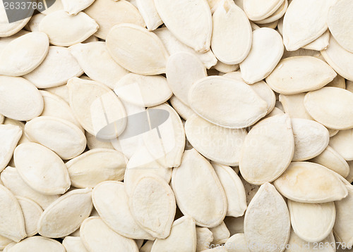 Image of White Pumpkin seed 