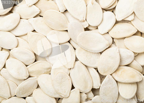 Image of White Pumpkin seed 