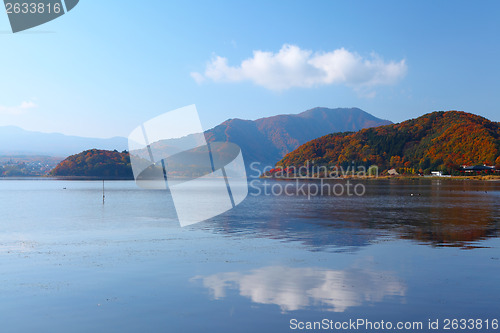 Image of Forest lake in fall 