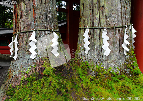 Image of Shimenawa in Japanese temple