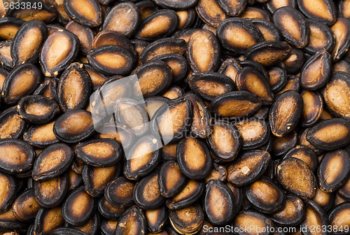 Image of Dried black watermelon seed 