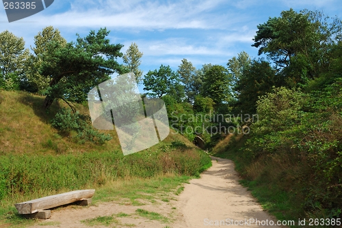 Image of Summer Landscape
