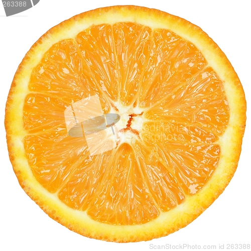 Image of Orange