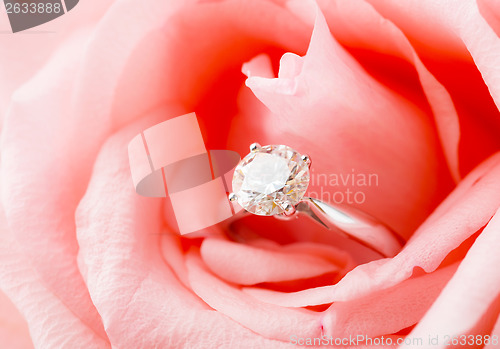 Image of Pink Rose and diamond ring nestled inside