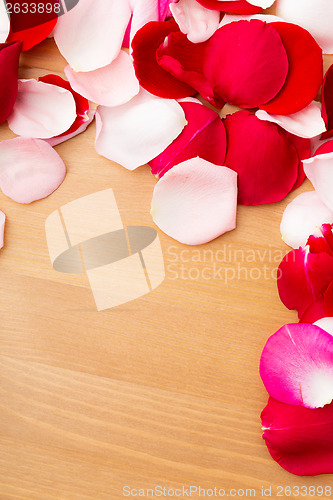 Image of Rose petal