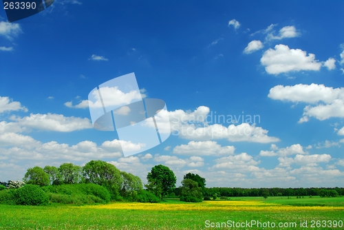 Image of Spring Landscape