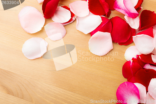 Image of Rose petal 