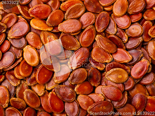 Image of Red Melon Seeds 