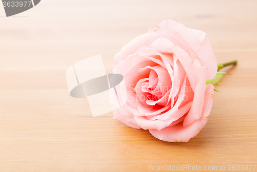 Image of Single rose on table