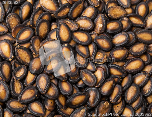 Image of Black Melon Seeds background 