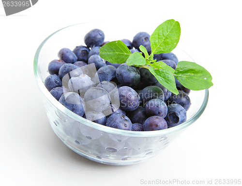 Image of Bowl of blueberries