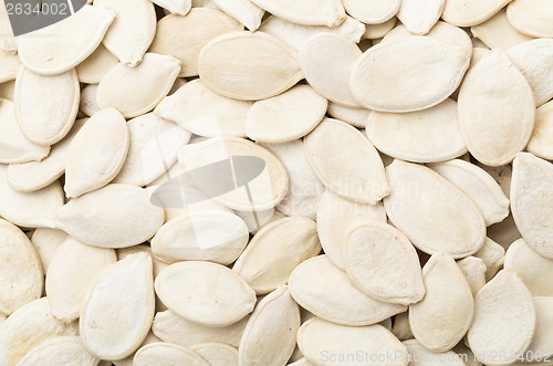 Image of Pumpkin seed