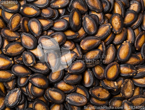 Image of Dried black melon seed