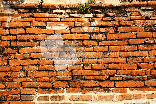 Image of Old red brick wall