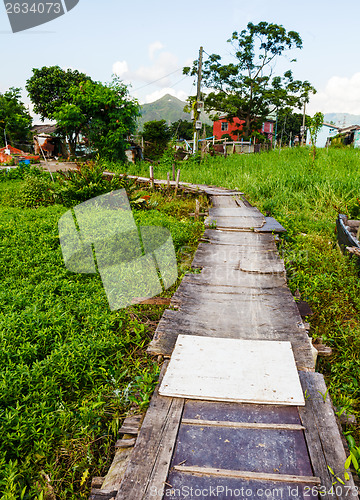 Image of Wooden bridge through the mangrove reforestation 