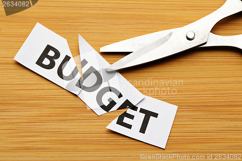 Image of Budget cut