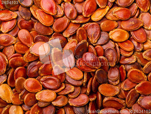 Image of Red melon seeds background