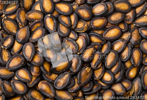 Image of Black melon seed background