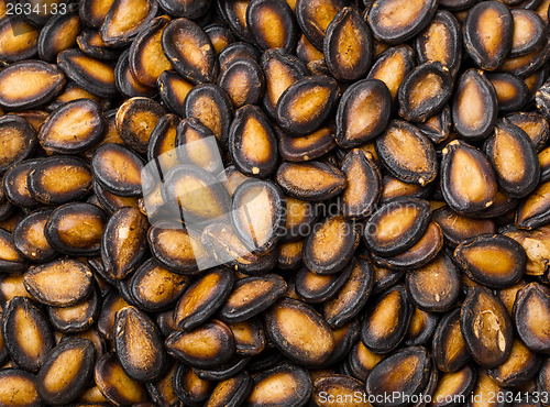 Image of Black melon seed