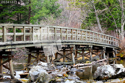 Image of Wooden bridge in forest