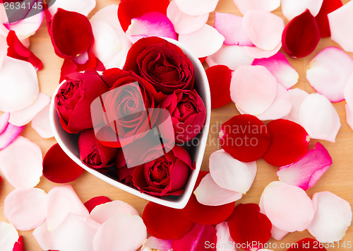 Image of Rose flower inside heart shape bowl with petal beside 