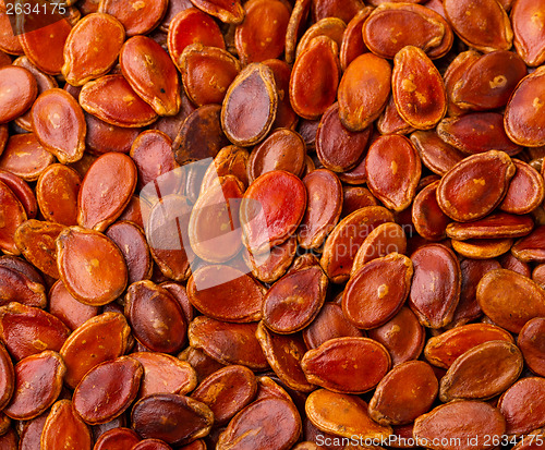 Image of Red melon seed