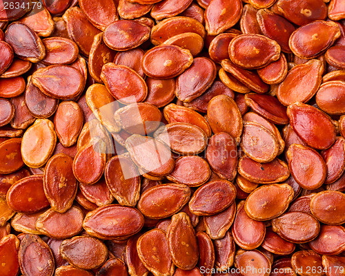 Image of Red watermelon seed background