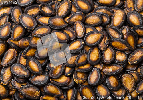 Image of Black Melon Seeds